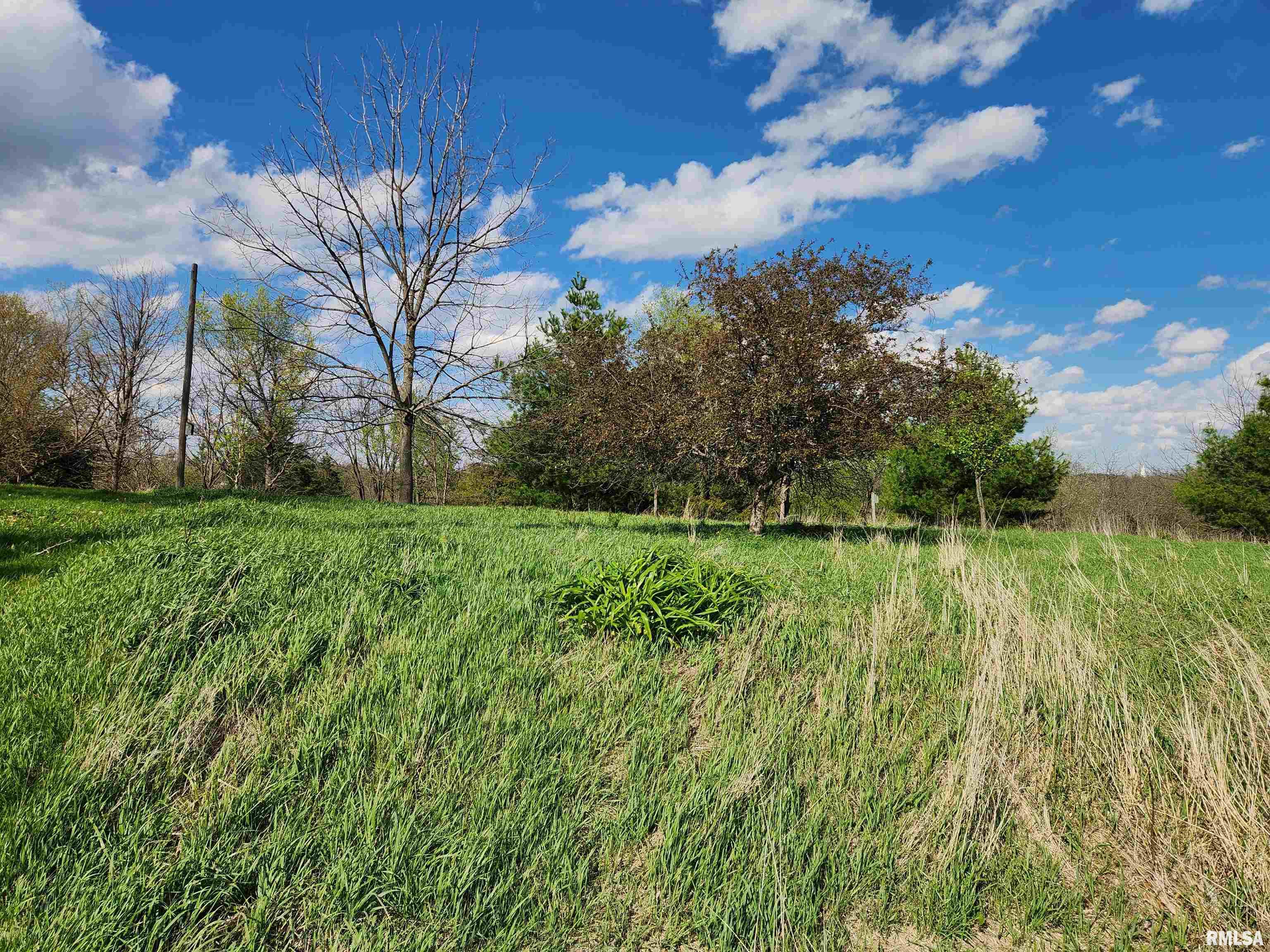 376 East Town Hall Road Metamora, IL 61548 - Photo 9 of 10