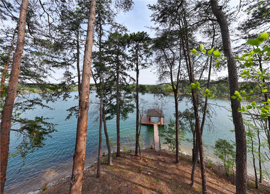 390 Peninsula Ridge Sunset, SC 29685 - Photo 23 of 35 15-foot elevation view