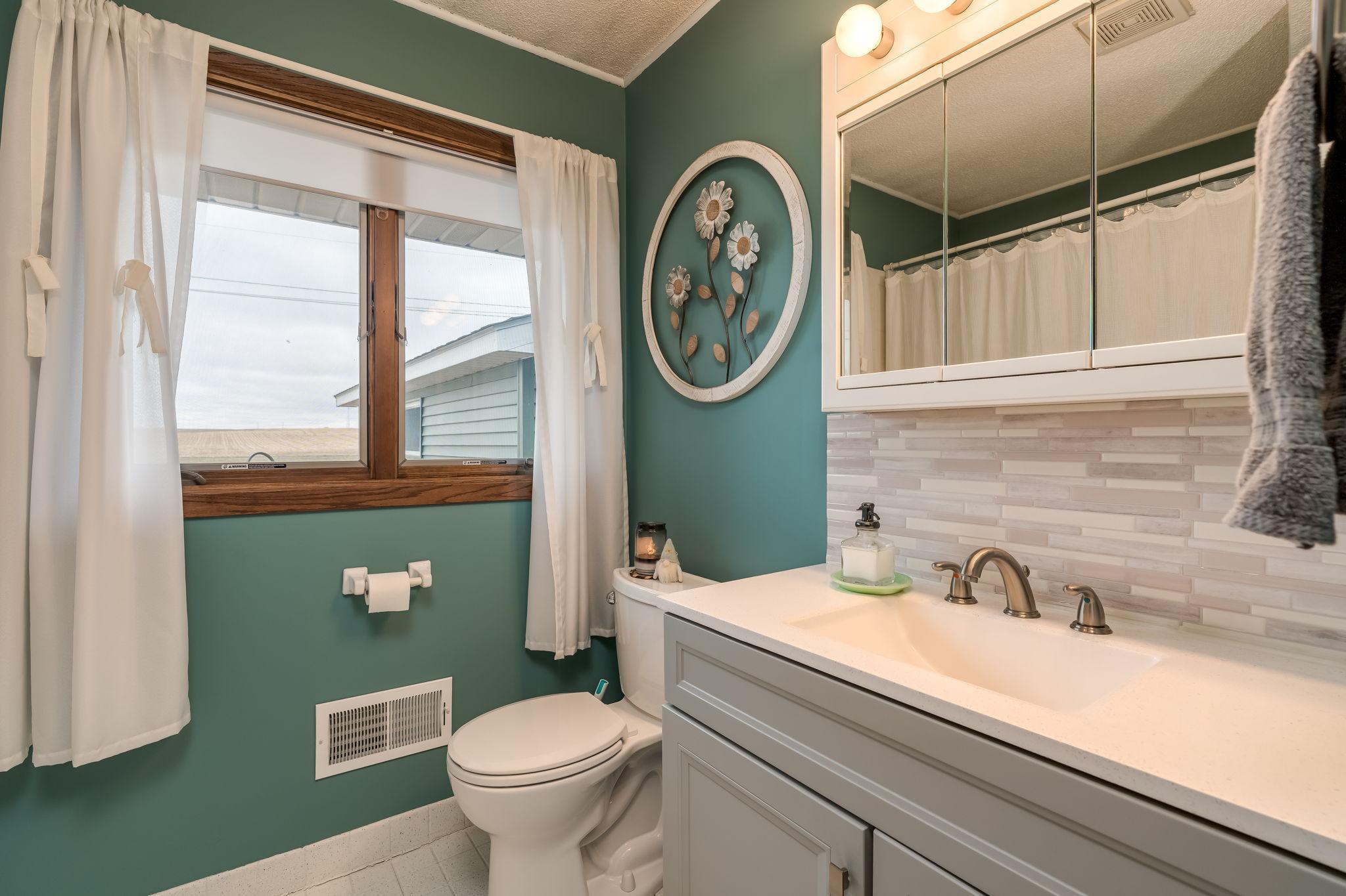 17009 Dickenson Lane Waterville, MN 56096 - Photo 7 of 37