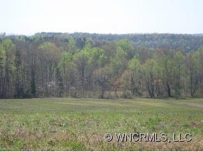 410 J A Hampton Road Rutherfordton, NC 28139 - Photo 6 of 12