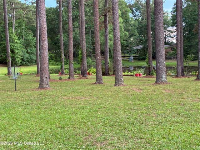 367 44th Highway Jayess, MS 39641 - Photo 33 of 38