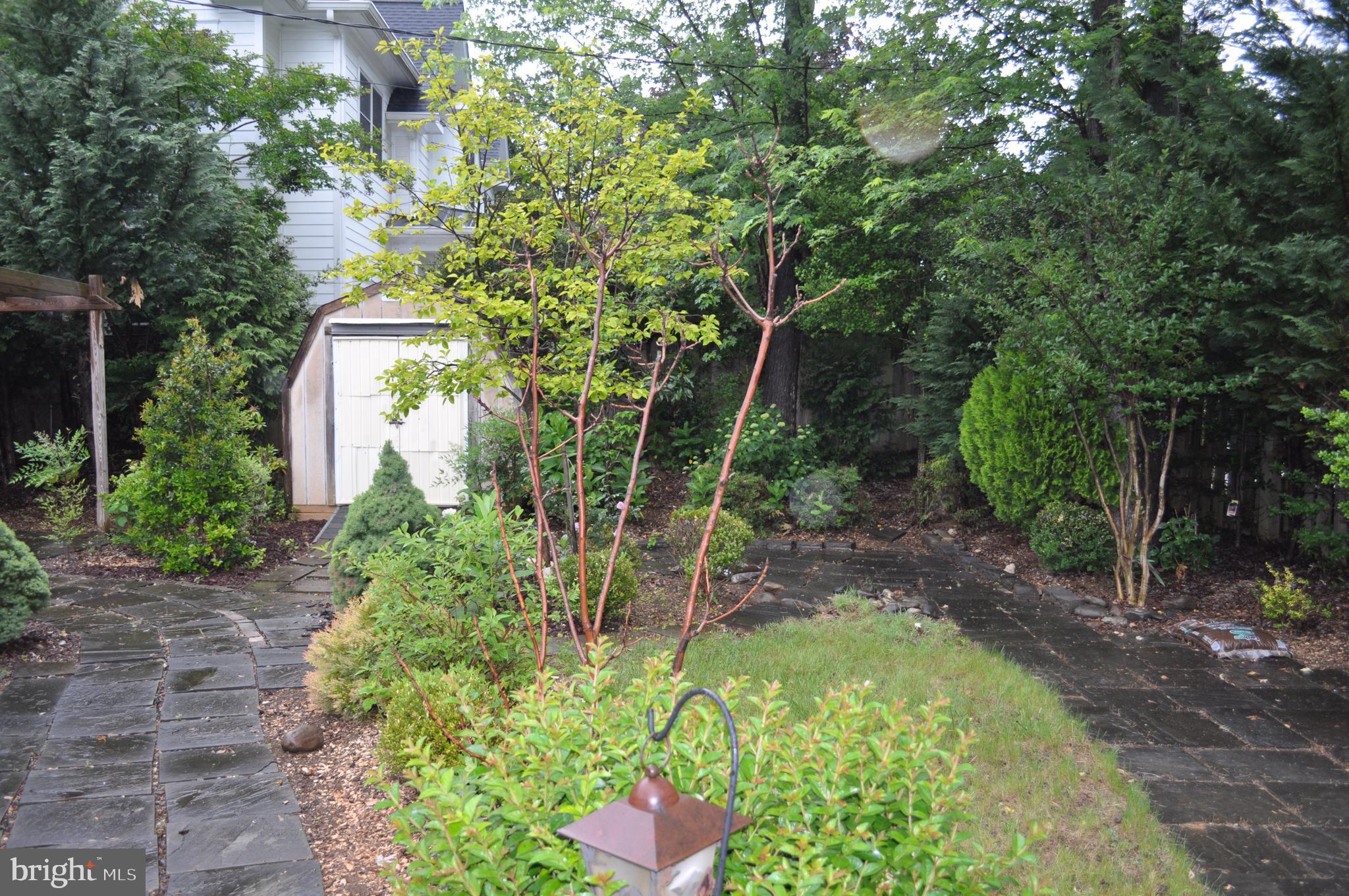 6000 Greentree Road Bethesda, MD 20817 - Photo 20 of 38 Yard - 7