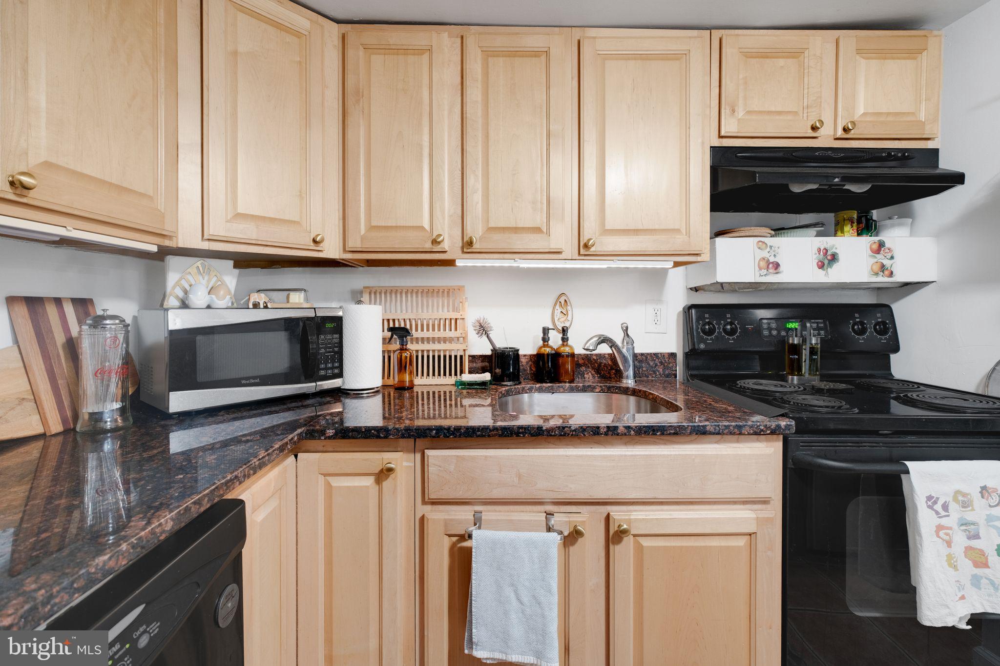 1209 6th Street Northeast, Unit B Washington, DC 20002 - Photo 2 of 23 Lower Level Kitchen