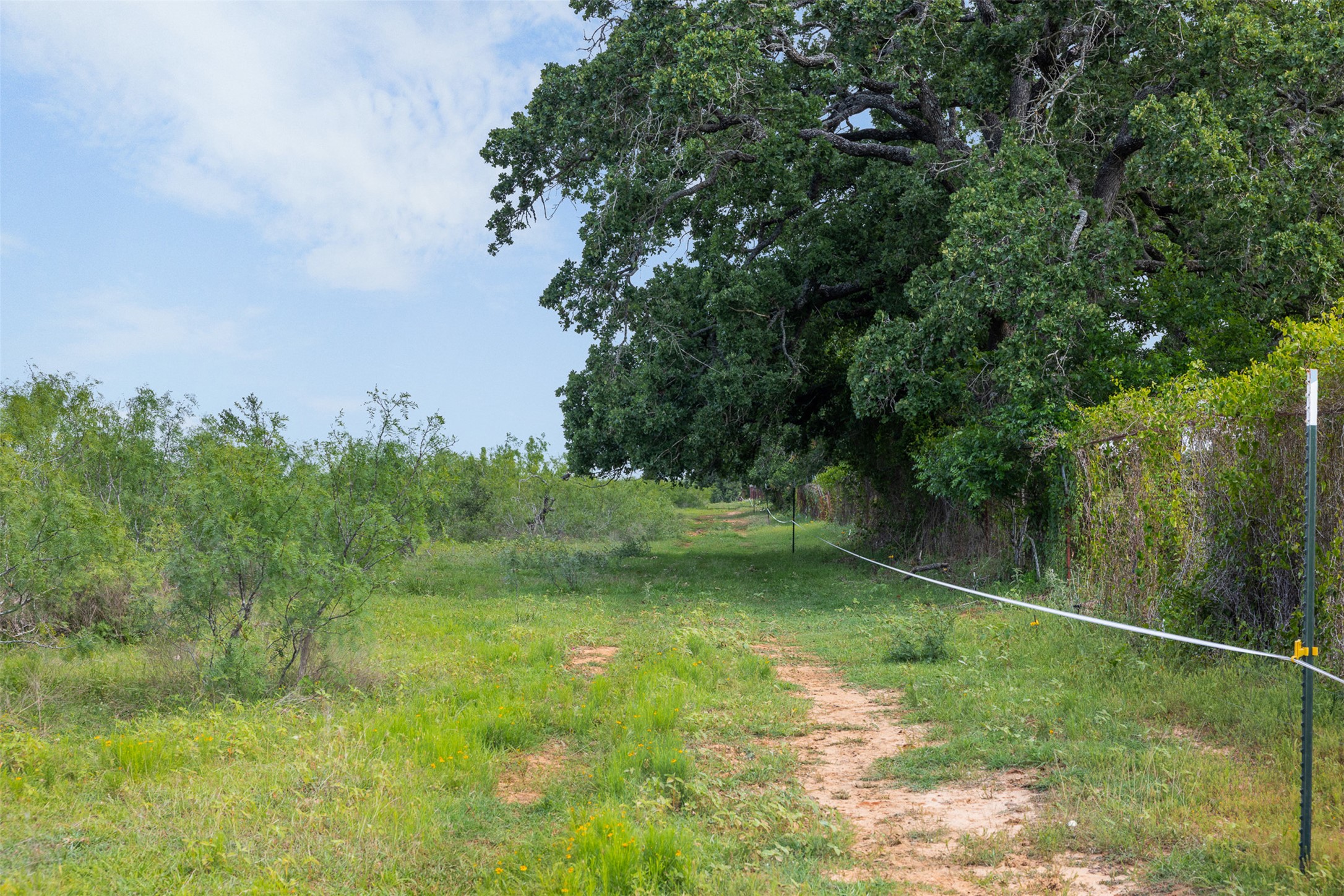 459 County Road 459 Road Thorndale, TX 76577 - Photo 10 of 35 a view of outdoor space and yard