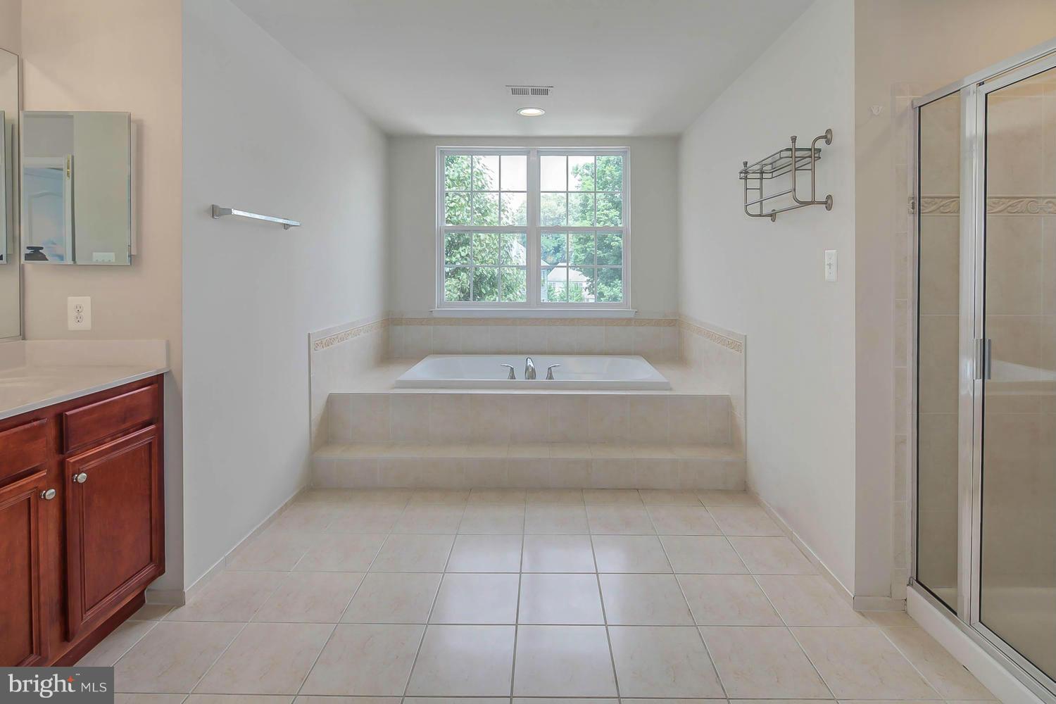 2314 Manor Spring Terrace Silver Spring, MD 20906 - Photo 17 of 30 Bath (Master)