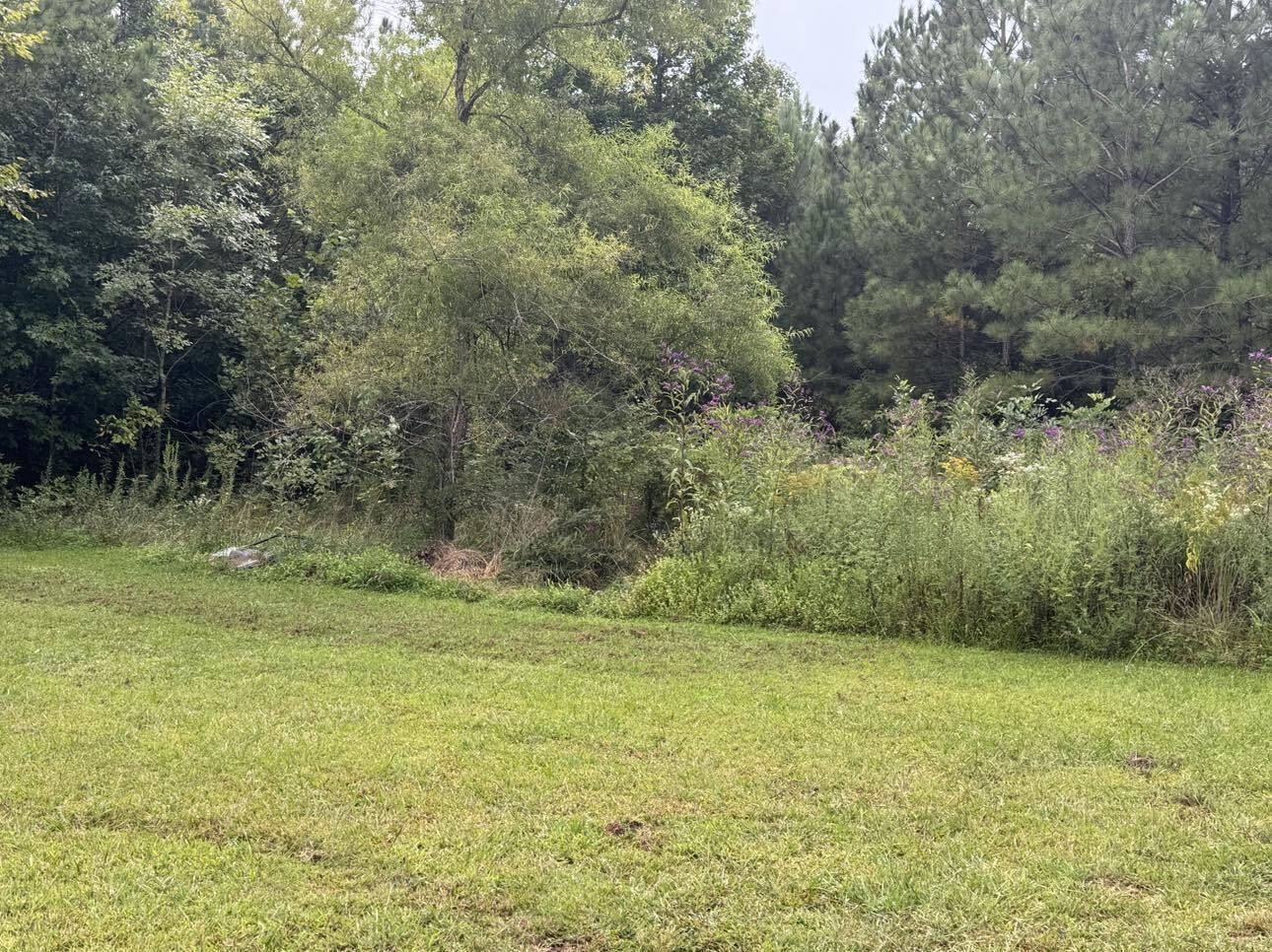 321 Rymer Road Cleveland, TN 37323 - Photo 11 of 12 Gallery Image 11