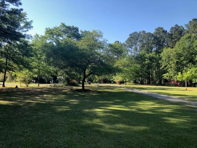 246 Old Grade Road Moncks Corner, SC 29461 - Photo 11 of 33 Front Yard 3