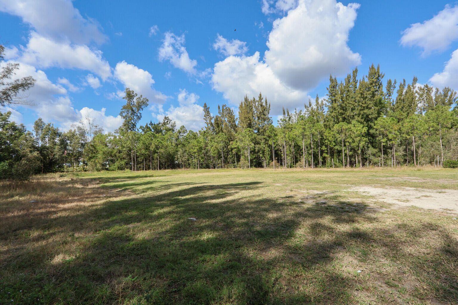 Xxxxx East Indiantown Road Jupiter, FL 33458 - Photo 7 of 24 a view of large trees and grass