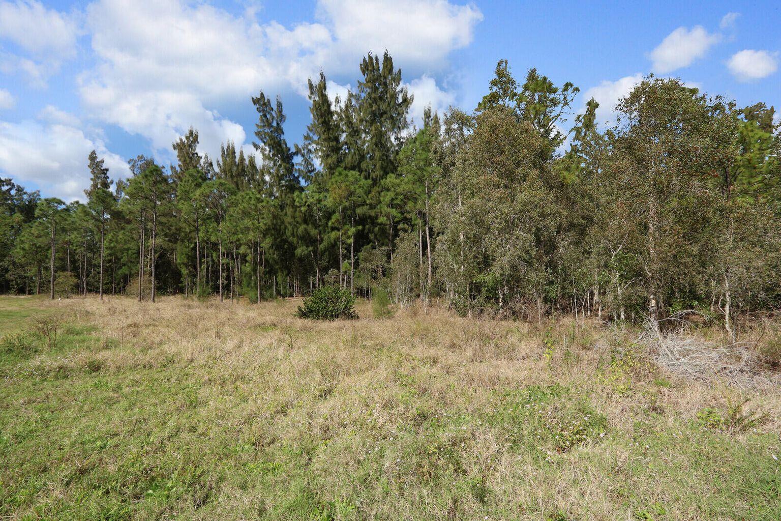 Xxxxx East Indiantown Road Jupiter, FL 33458 - Photo 8 of 24 a view of a dry yard with trees