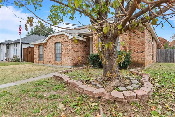 a view of a yard with plants