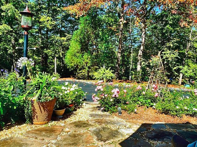 205 Minnehaha Trail Blue Ridge, GA 30513 - Photo 18 of 20 a view of a garden with plants