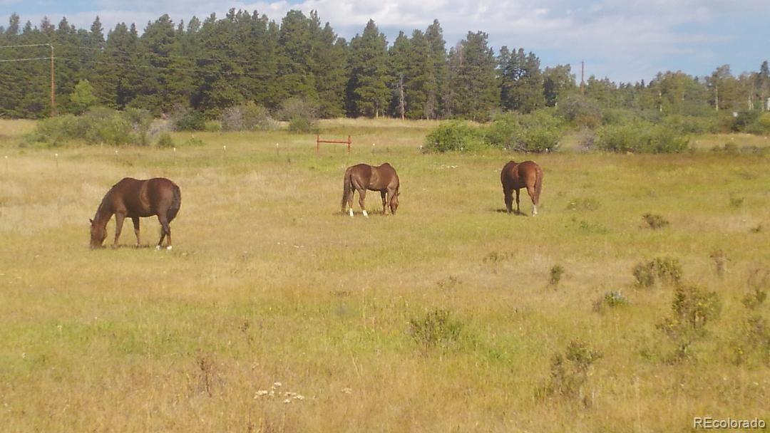 2 Rudolph Ranch Road Black Hawk, CO 80422 - Photo 1 of 8 Gallery Image 1