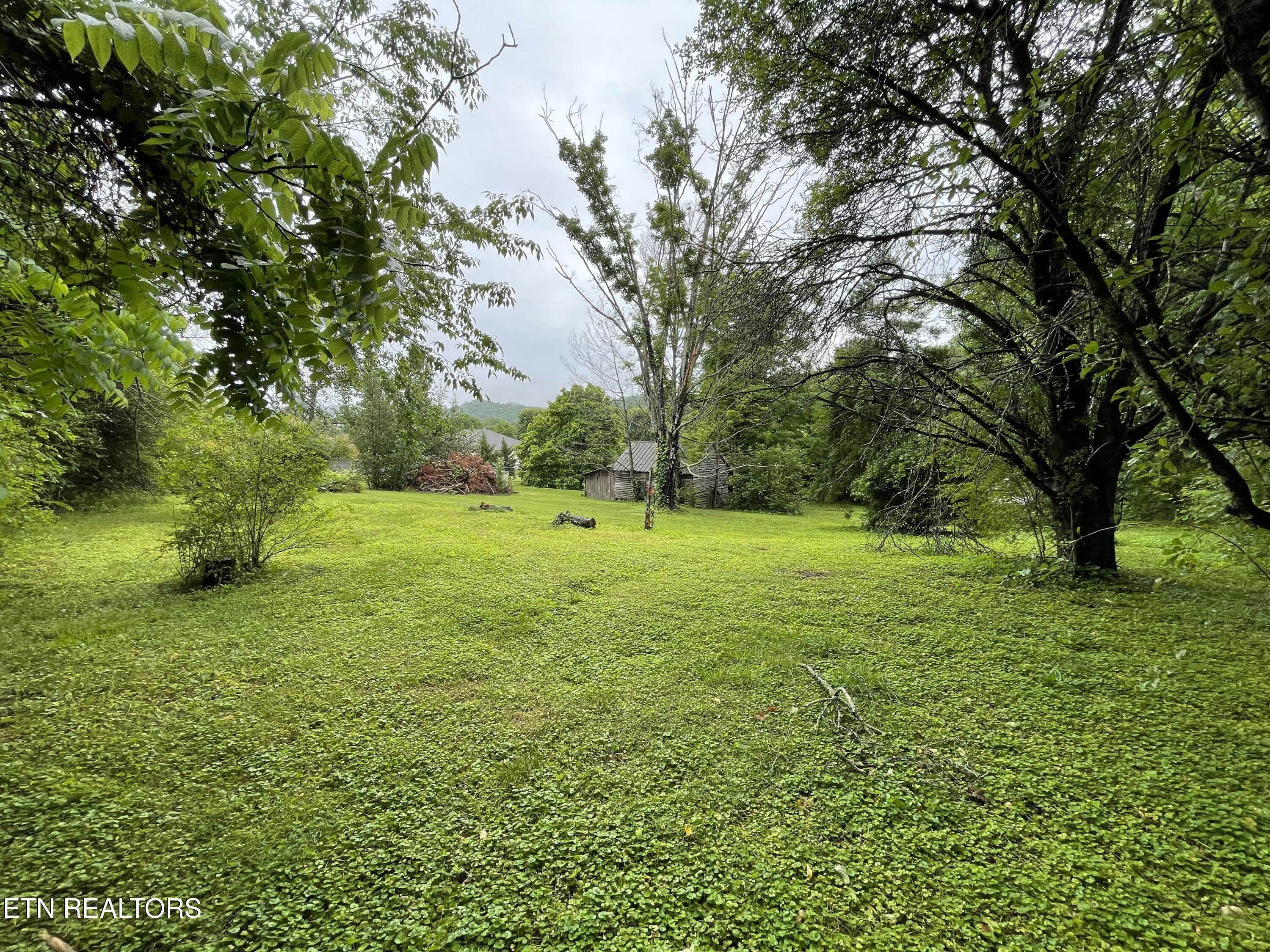 191 Walkers Ford Road Maynardville, TN 37807 - Photo 24 of 25 IMG_6091