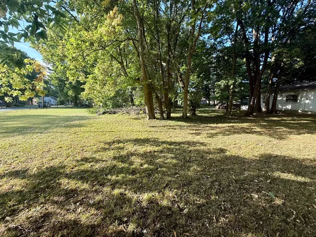 a view of a yard with large trees