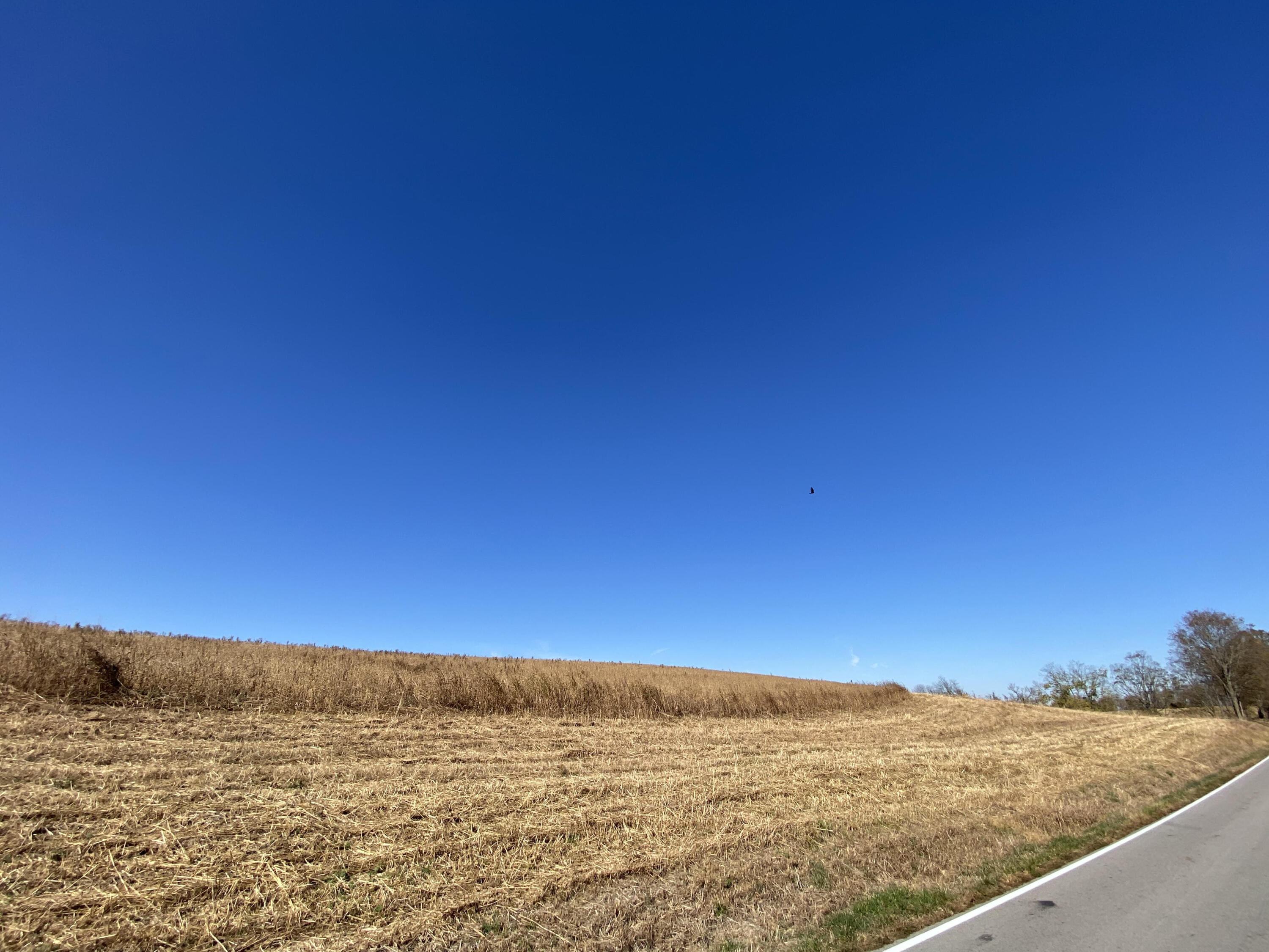 22007 Upper Lick Road, Unit 5 Carlisle, KY 40311 - Photo 3 of 7 03