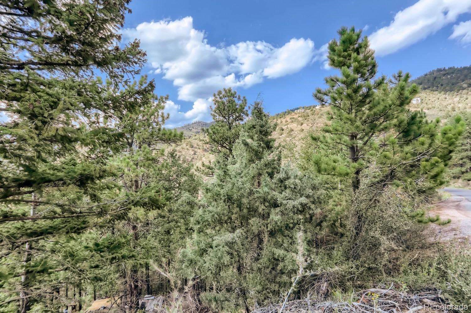 2154 Douglas Mountain Drive Golden, CO 80403 - Photo 15 of 35