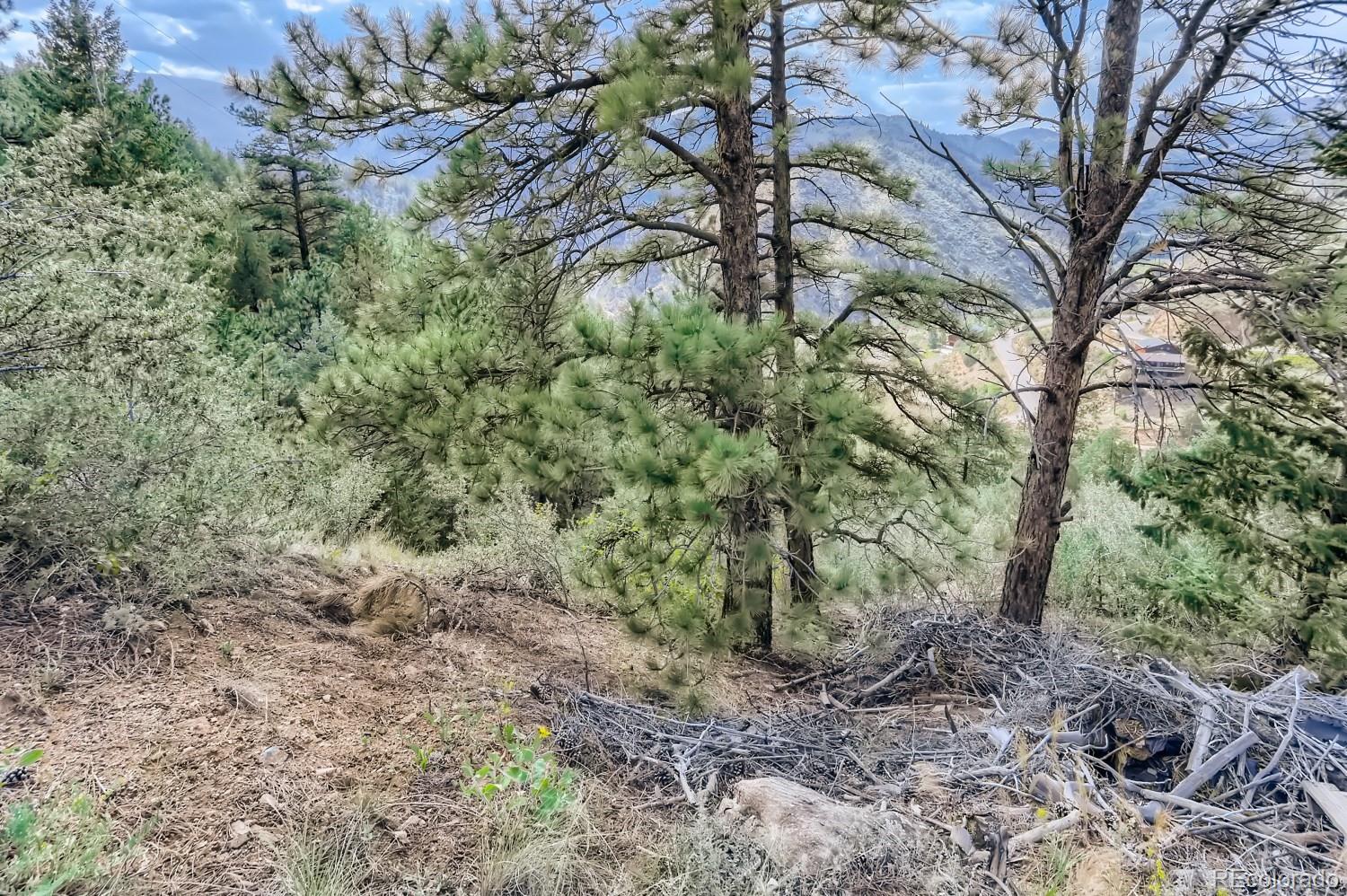 2154 Douglas Mountain Drive Golden, CO 80403 - Photo 19 of 35