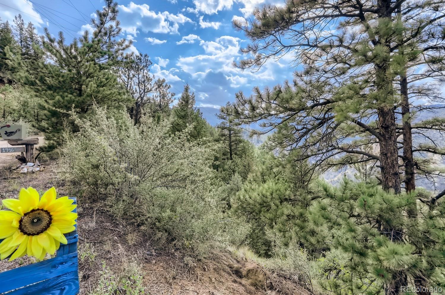 2154 Douglas Mountain Drive Golden, CO 80403 - Photo 20 of 35