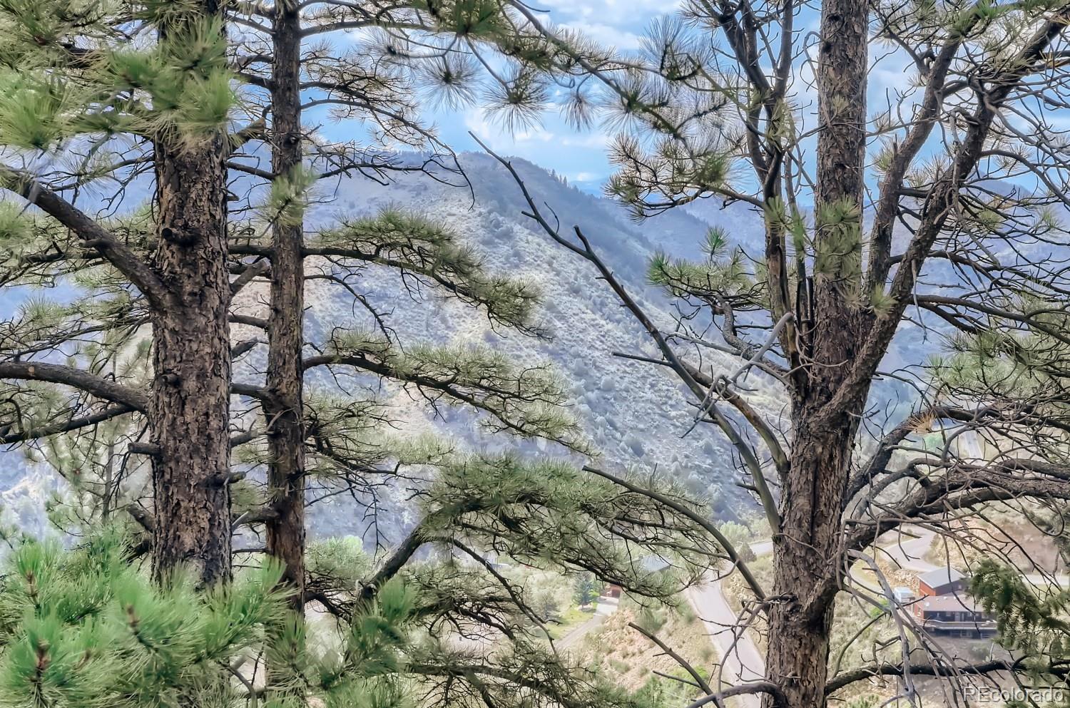 2154 Douglas Mountain Drive Golden, CO 80403 - Photo 21 of 35