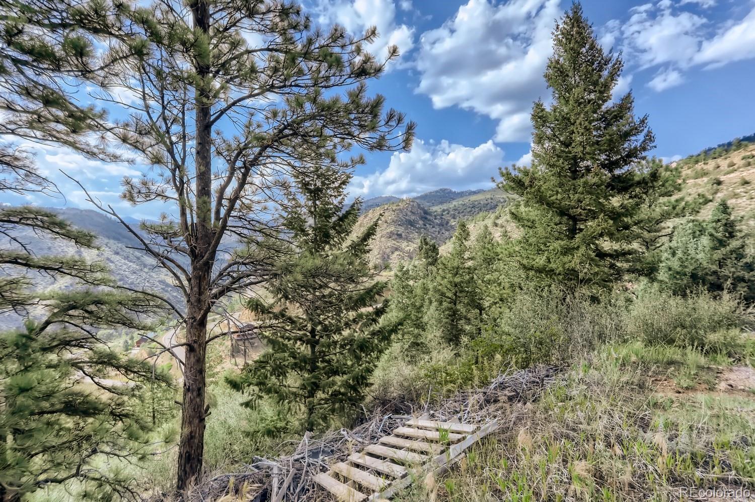 2154 Douglas Mountain Drive Golden, CO 80403 - Photo 22 of 35