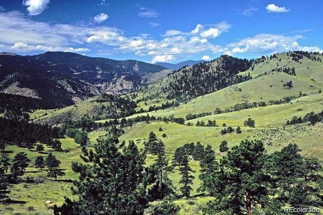 2154 Douglas Mountain Drive Golden, CO 80403 - Photo 26 of 35