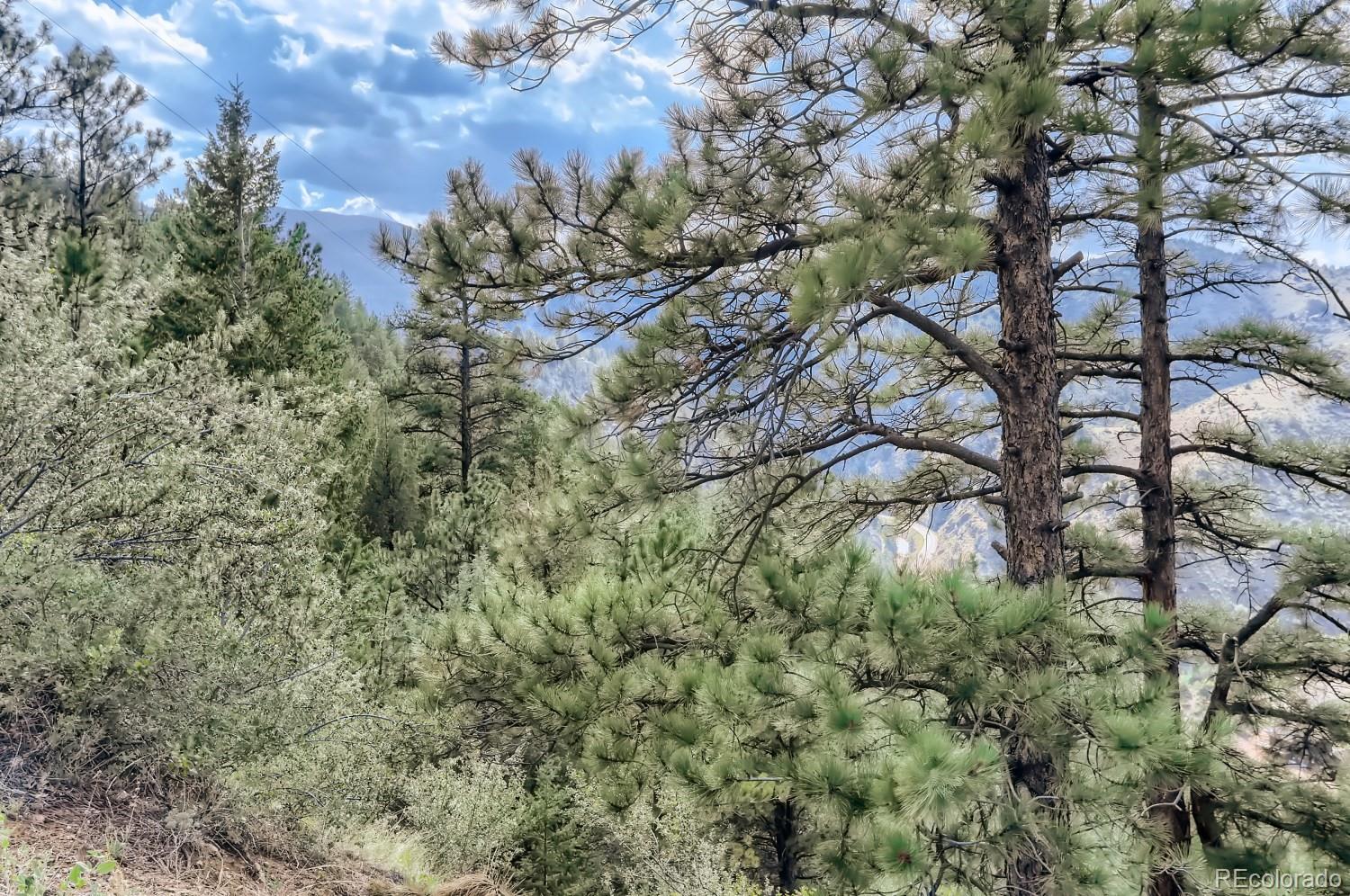 2154 Douglas Mountain Drive Golden, CO 80403 - Photo 6 of 35