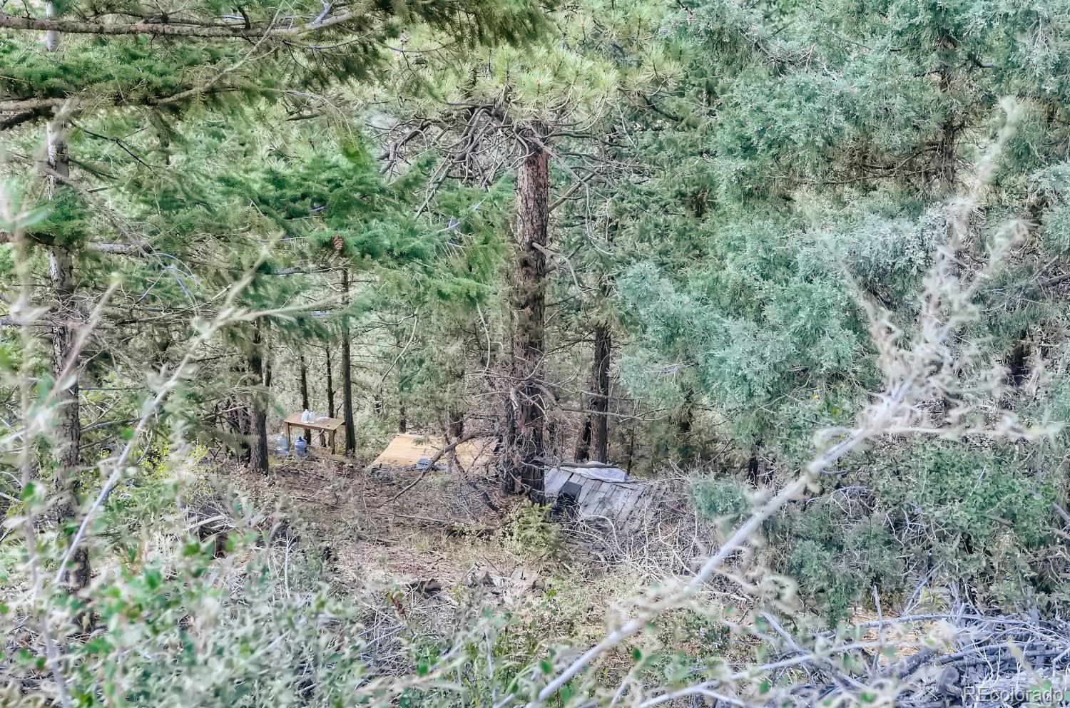 2154 Douglas Mountain Drive Golden, CO 80403 - Photo 8 of 35