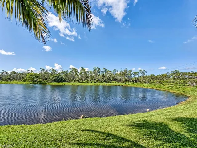 a view of a lake with a beach