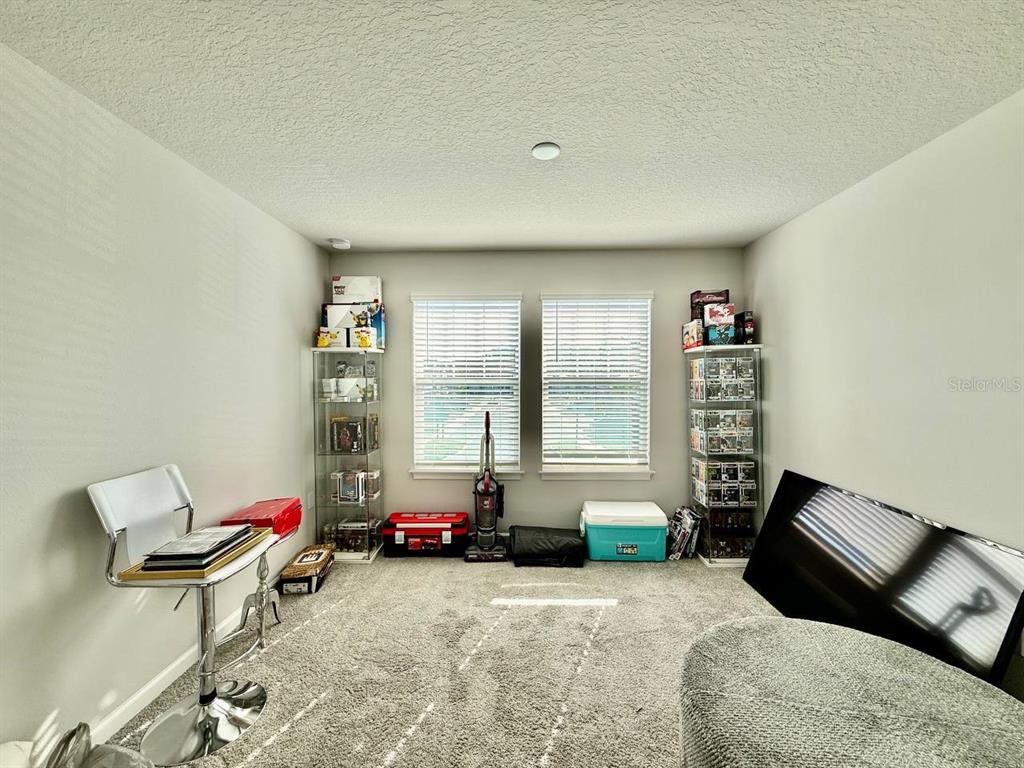 8319 Wildflower Glen Avenue Odessa, FL 33556 - Photo 16 of 34 a bedroom with furniture and a window