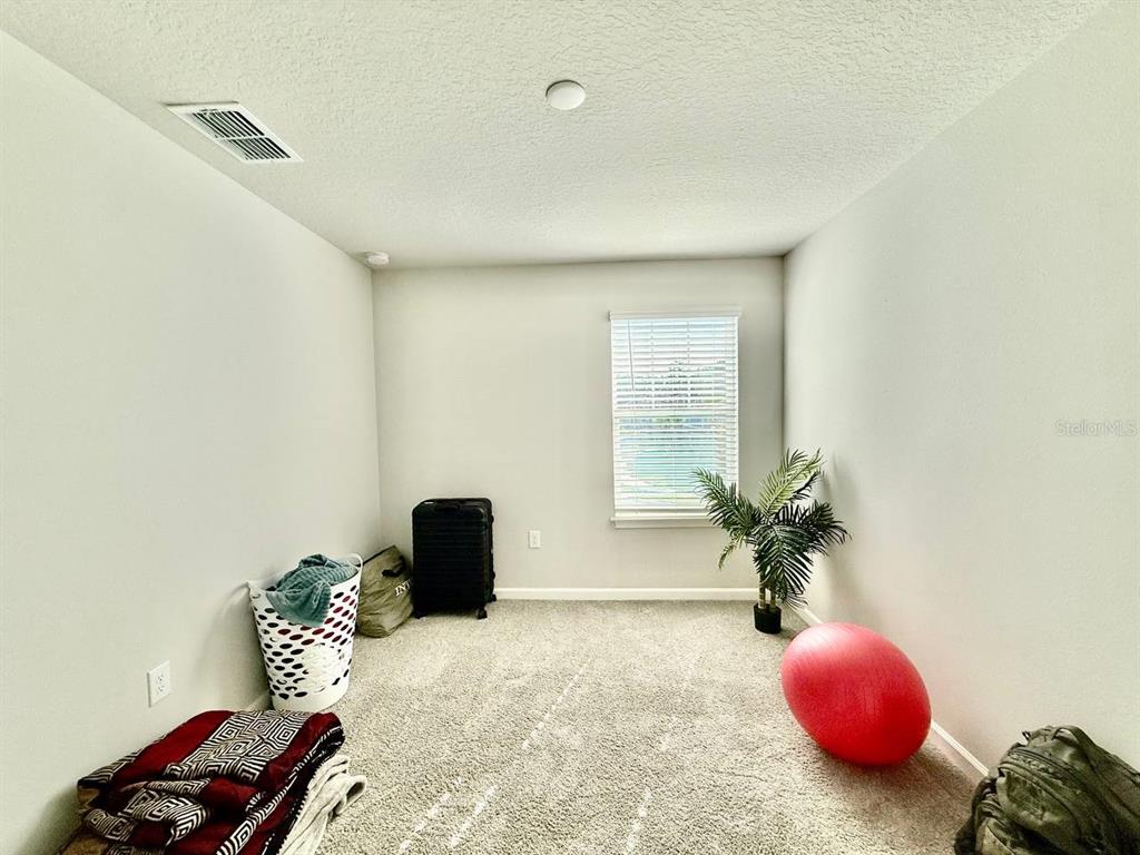 8319 Wildflower Glen Avenue Odessa, FL 33556 - Photo 19 of 34 a room with furniture and flower pot