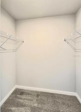 $2,500 | 8319 Wildflower Glen Avenue, Odessa, FL 33556