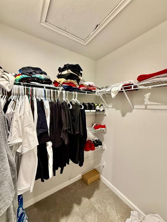 8319 Wildflower Glen Avenue Odessa, FL 33556 - Photo 30 of 34 a view of walk in closet with clothes and shoes