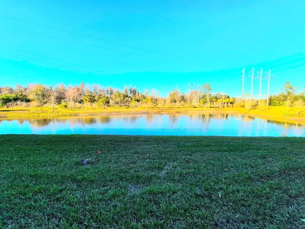 $2,500 | 8319 Wildflower Glen Avenue, Odessa, FL 33556