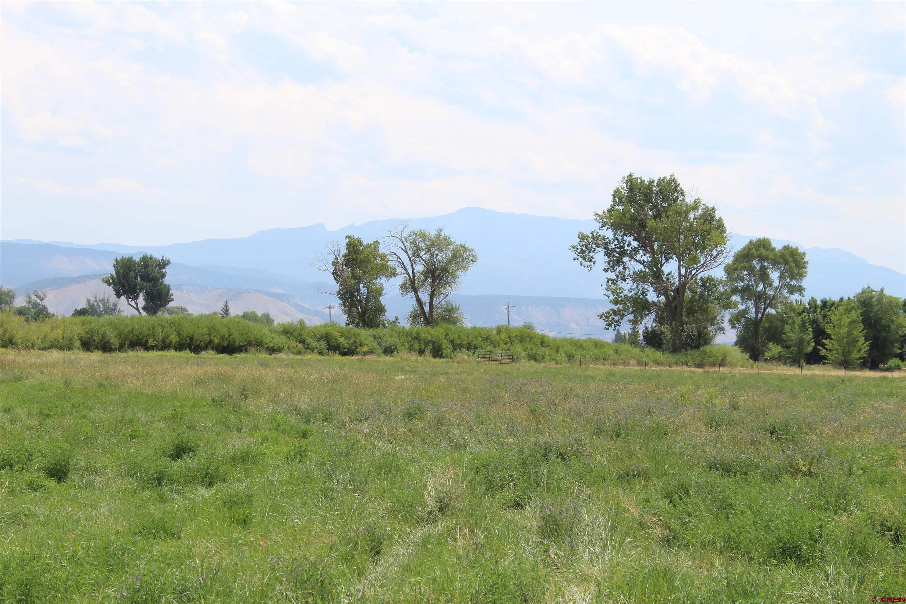 a view of a field with an ocean and trees