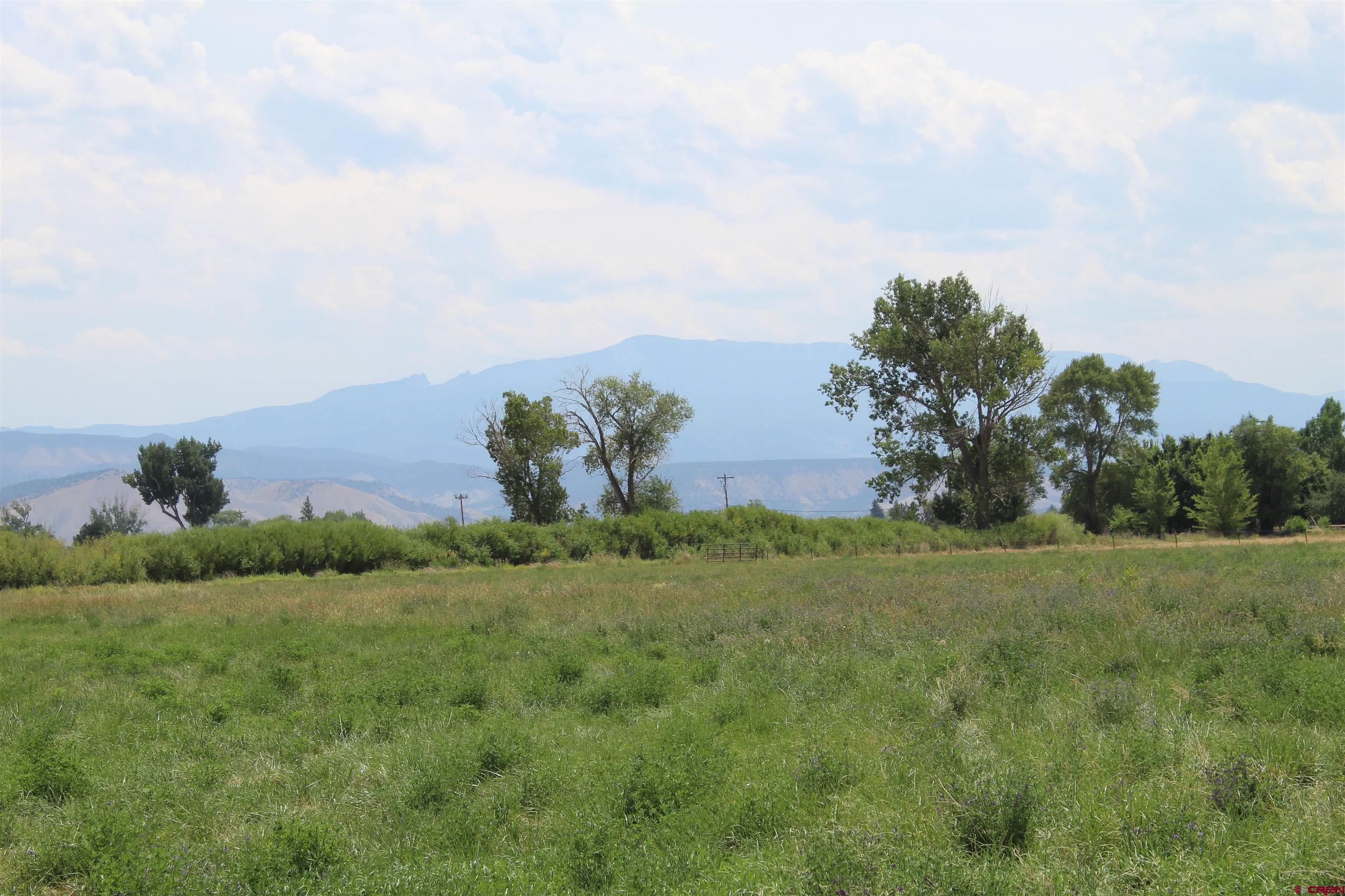 Lot 3 Solar Road Montrose, CO 81403 - Photo 3 of 8 a view of a field with a house in the background