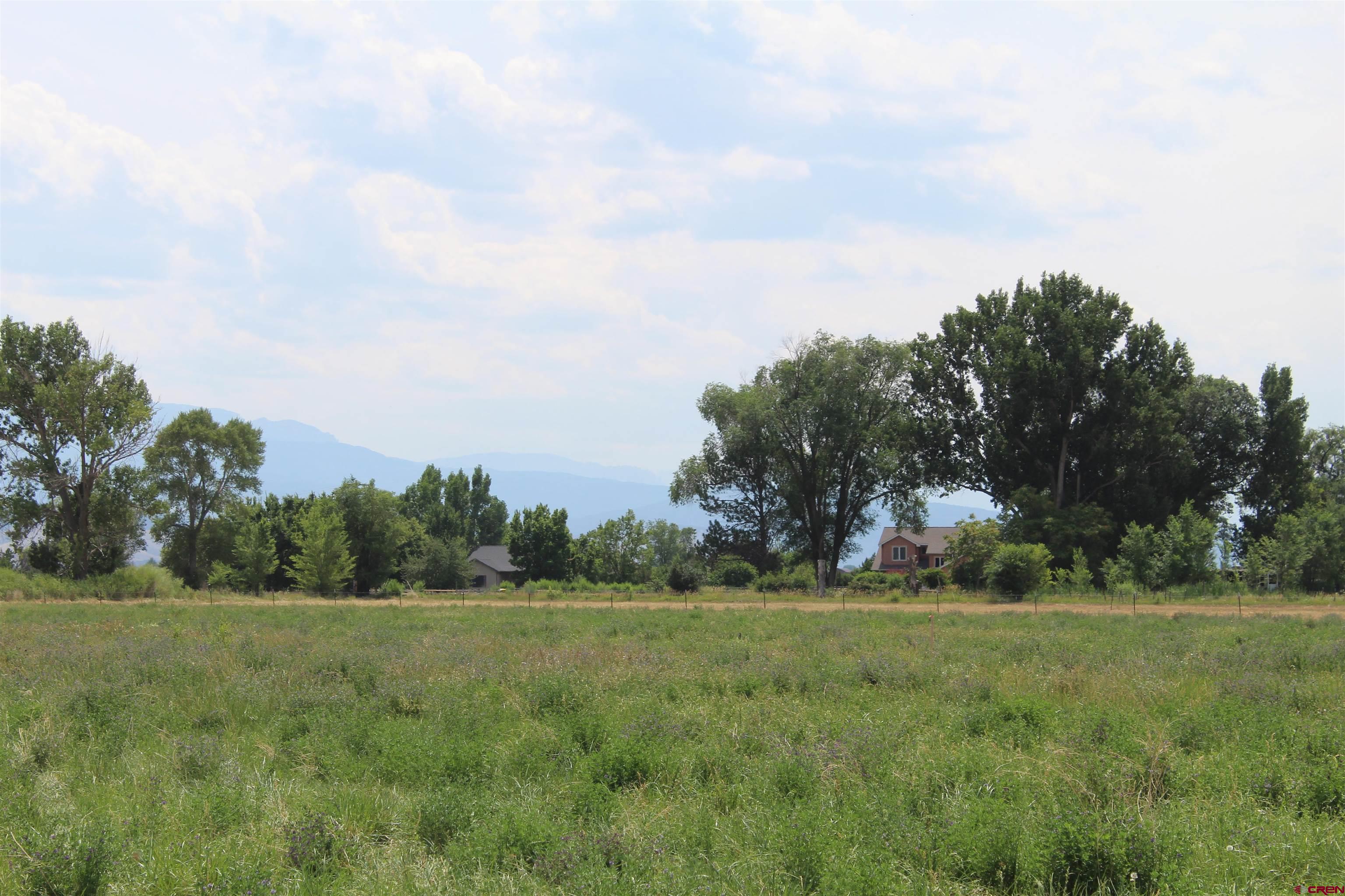 Lot 3 Solar Road Montrose, CO 81403 - Photo 4 of 8 a view of a green field with wooden fence