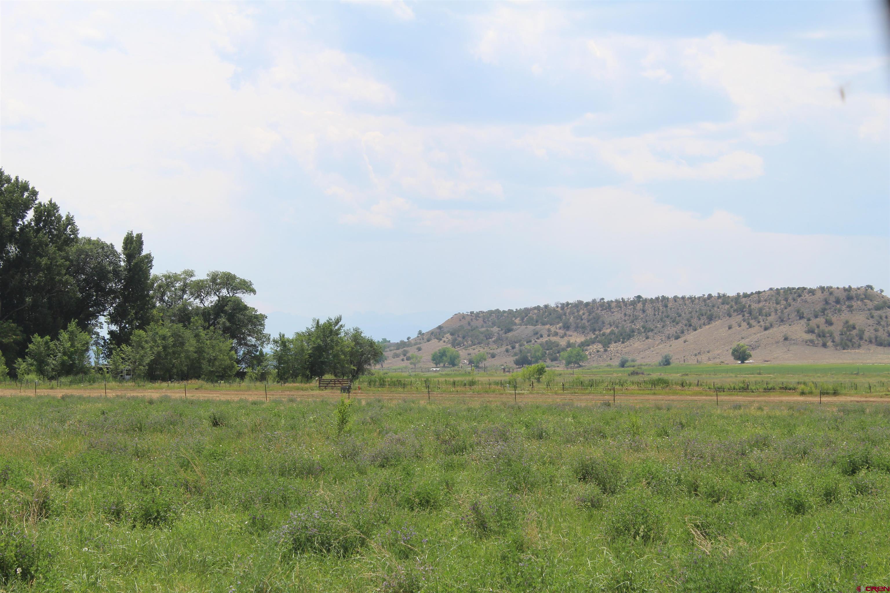 Lot 3 Solar Road Montrose, CO 81403 - Photo 5 of 8 a view of a field with trees in the background
