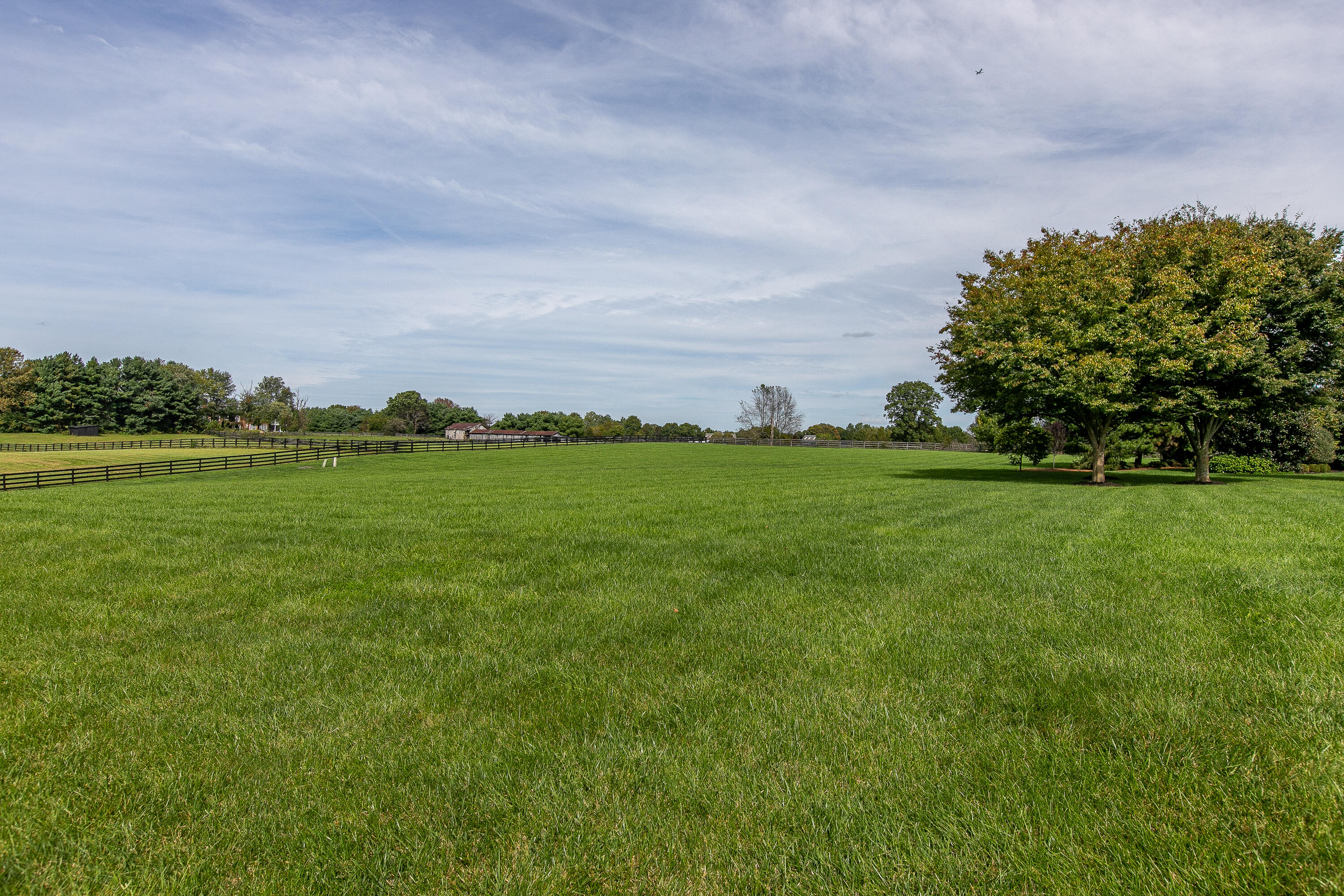 4151 Bridle Ridge Lane Lexington, KY 40515 - Photo 64 of 71 6-20