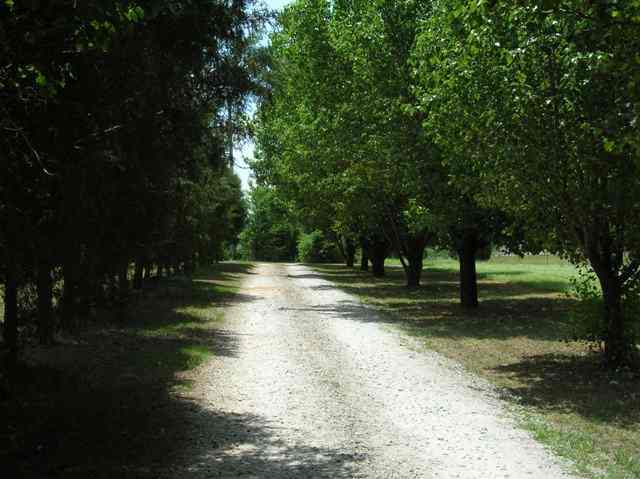 0 Autun Road Pendleton, SC 29670 - Photo 2 of 9