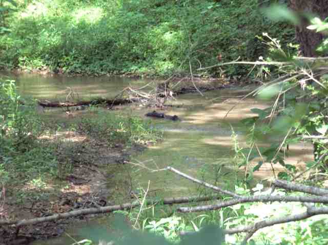 0 Autun Road Pendleton, SC 29670 - Photo 3 of 9