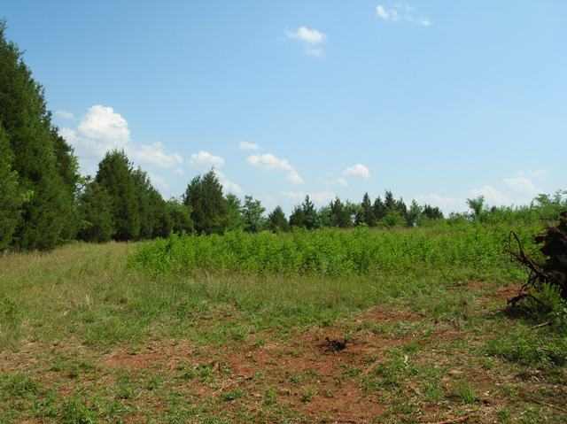 0 Autun Road Pendleton, SC 29670 - Photo 5 of 9