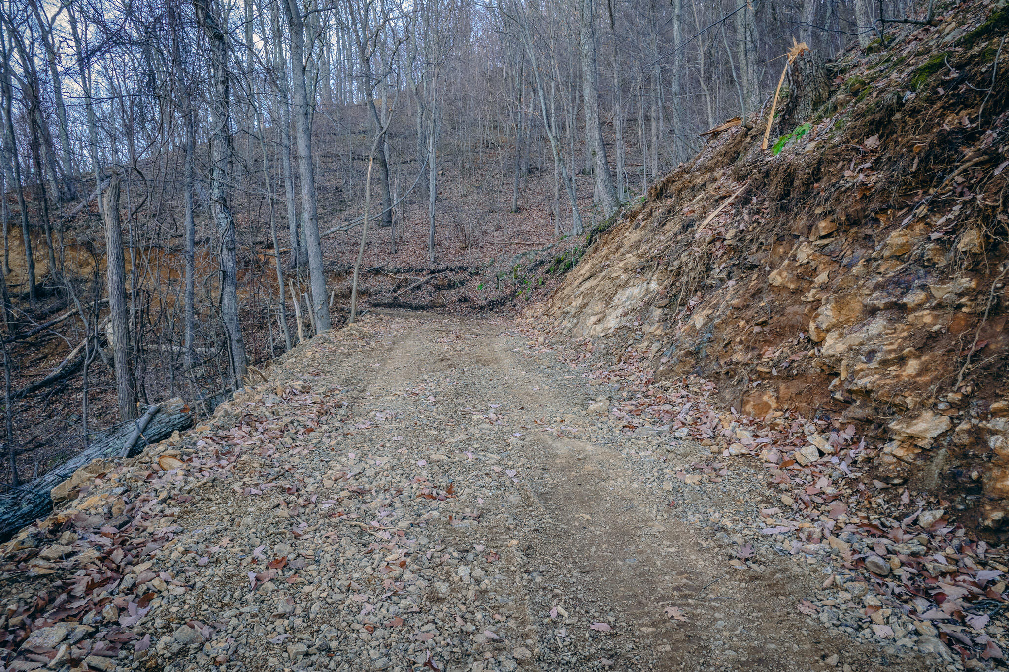 0 Glade Creek Road Roanoke, VA 24012 - Photo 13 of 21 a view of a backyard with trees