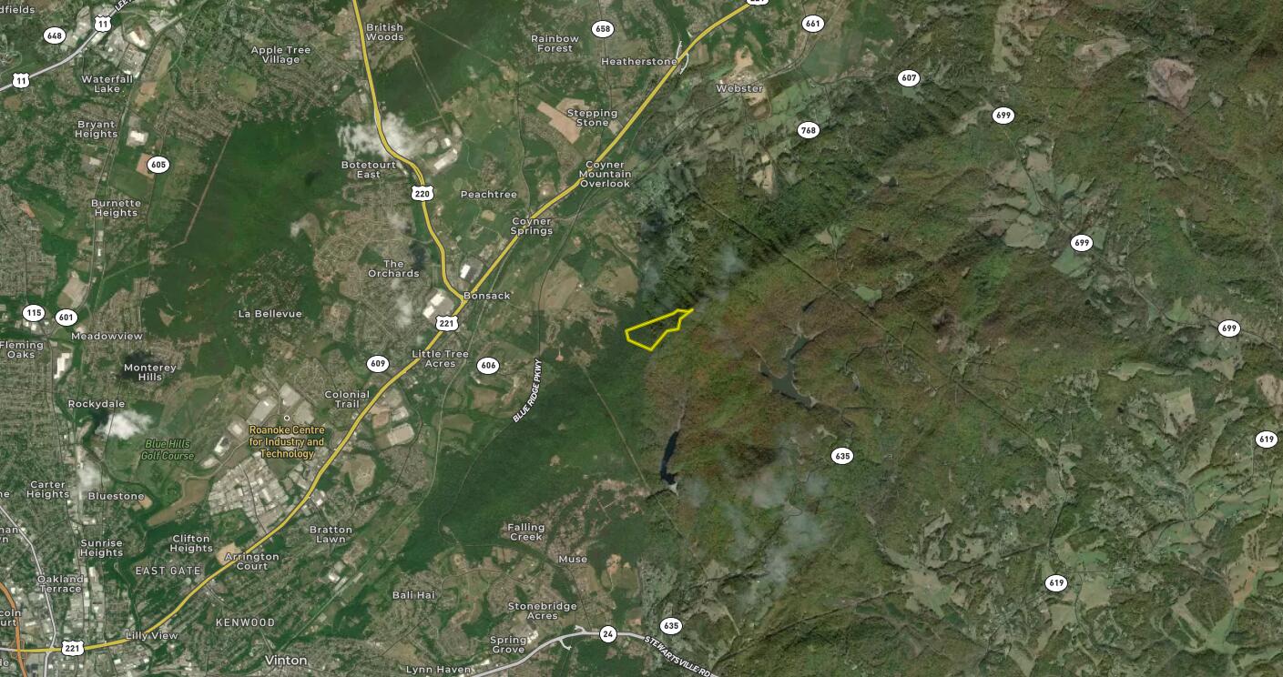 0 Glade Creek Road Roanoke, VA 24012 - Photo 21 of 21 a view of a tree