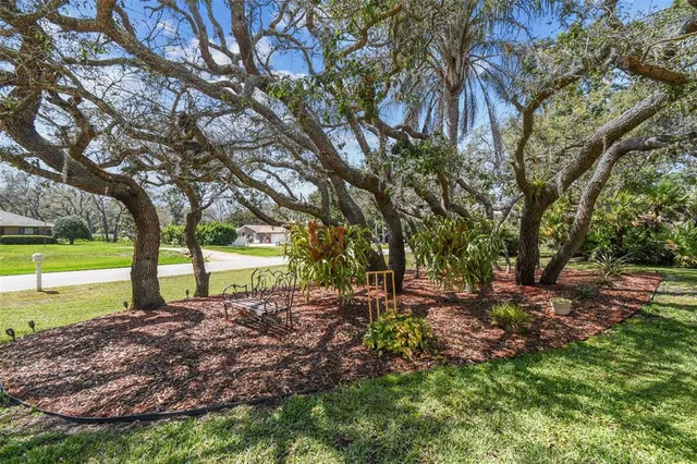 a view of outdoor space with deck and trees