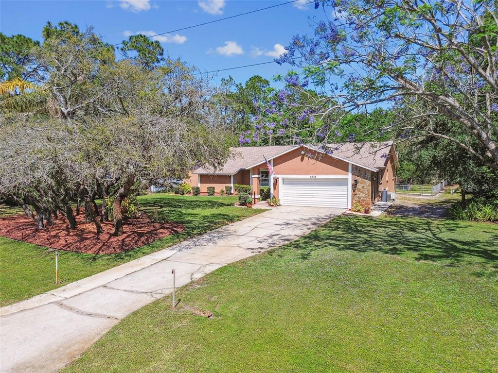 6938 Coronet Drive New Port Richey, FL 34655 - Photo 46 of 49