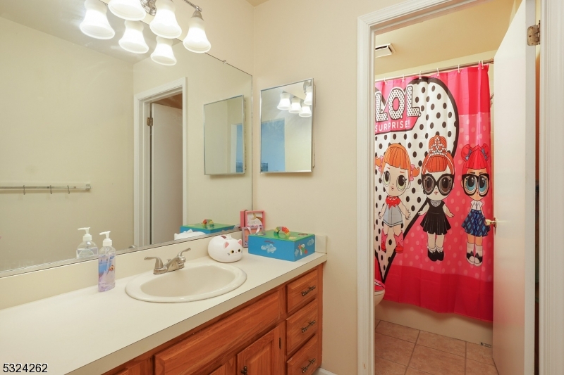 28 Spruce Court Bedminster, NJ 07921 - Photo 12 of 12 a bathroom with a sink vanity tub and a mirror