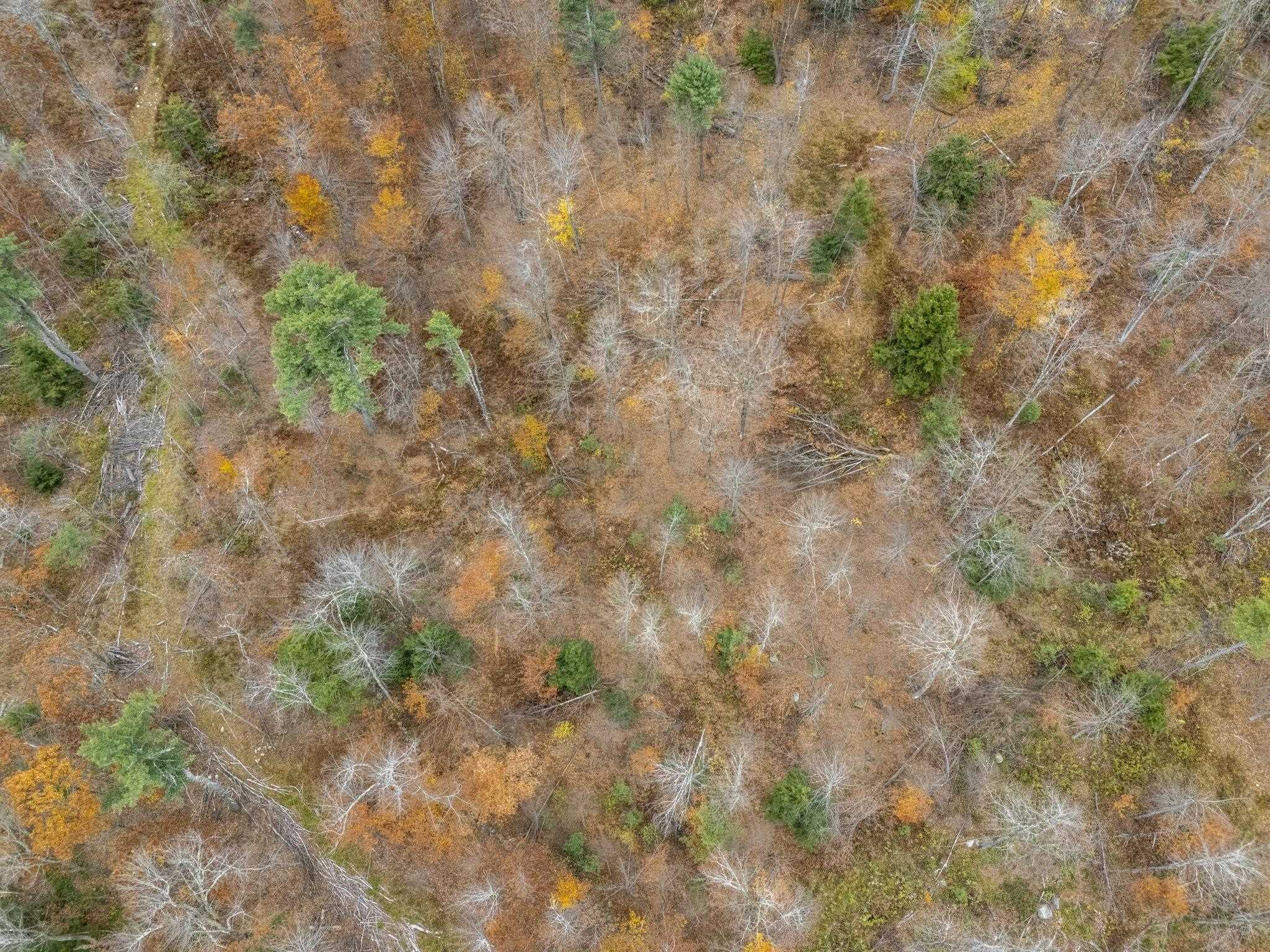 0 Greenville Road, Unit LOT 15B5 New Ipswich, NH 03071 - Photo 2 of 7