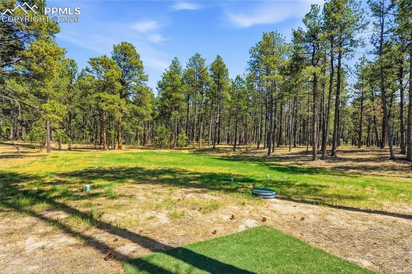 $1,150,000 | 16044 Pole Pine Point, Colorado Springs, CO 80908