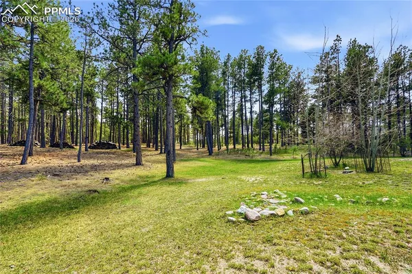 $1,150,000 | 16044 Pole Pine Point, Colorado Springs, CO 80908