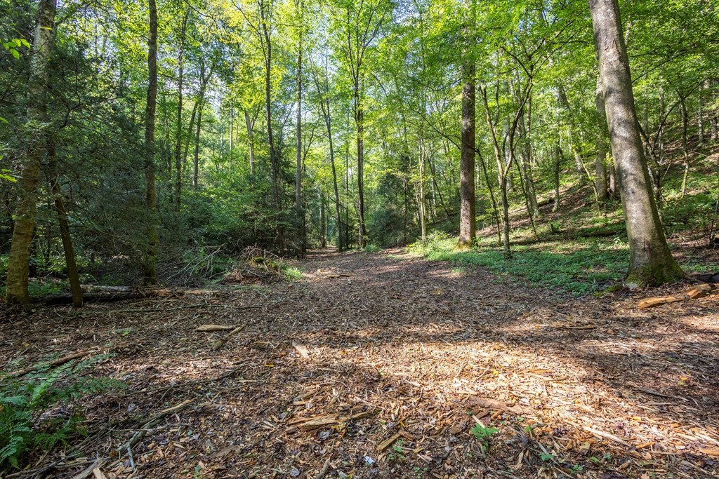 23.59-ac Chestnut Flts Road Andrews, NC 28901 - Photo 26 of 46
